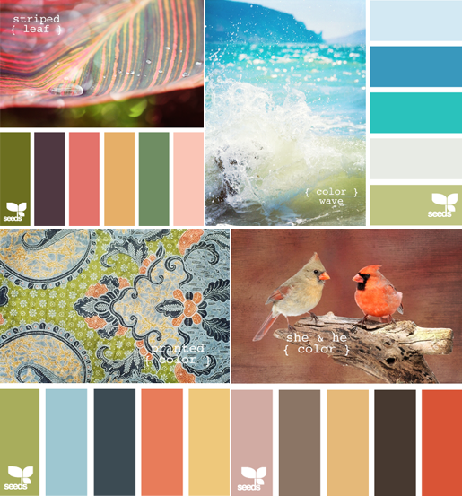 bold color inspiration bright