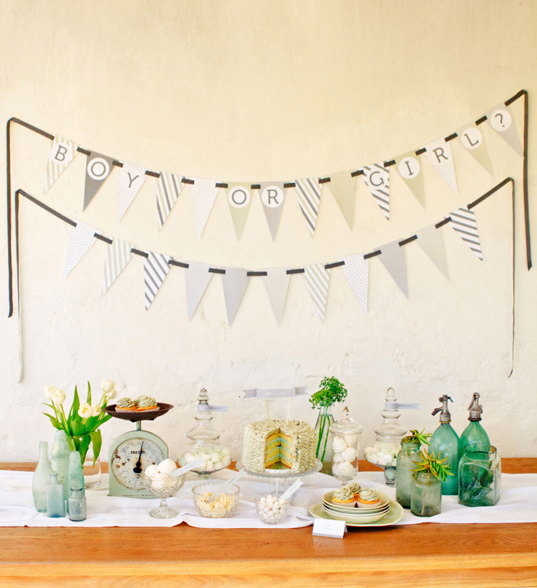 Beautiful Gender Reveal Party Ideas Beautiful Gender Reveal Party Ideas